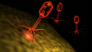 Le Bi-Fi pourrait révolutionner la bio-ingénierie