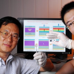 Une cellule hybride qui produit et stocke de l'énergie