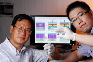 Une cellule hybride qui produit et stocke de l&rsquo;énergie