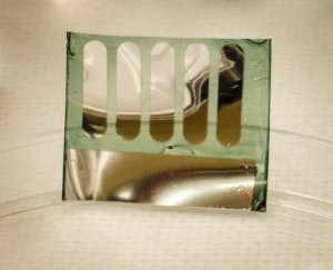 Des cellules solaires recyclables créées avec du bois