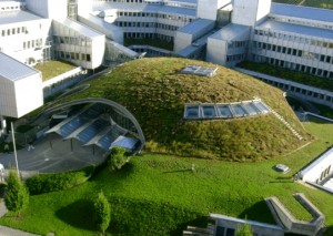 Produire de l&rsquo;électricité à partir de plantes vivantes